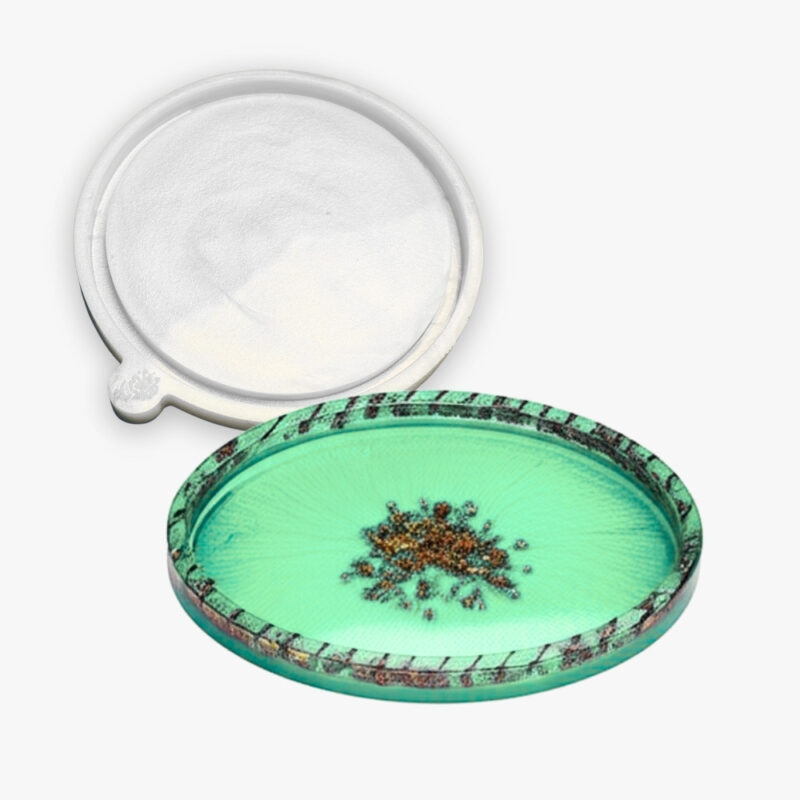 Molde de Silicone Para Resina Bandeja Redonda 15cm